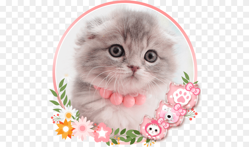 Cute Cat Live Launcher Theme 3d Wallpapers Apps On Google Play Cute Wallpaper Kucing Kartun Pink, Animal, Kitten, Mammal, Pet PNG