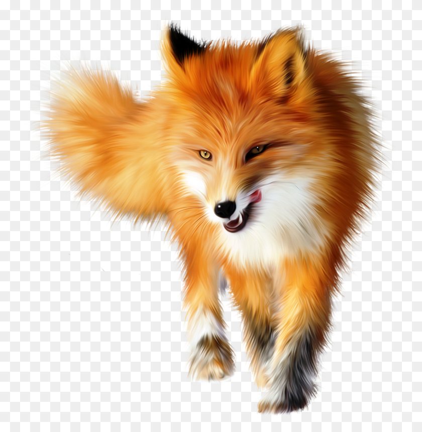 764x800 Cute Fox Clip Art Yellow Foxes Nursing Vectors Fox Animal, Dog, Pet, Canine HD PNG Download