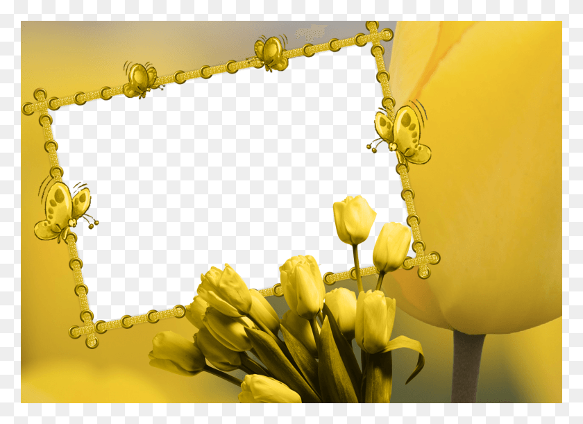 1500x1060 Cute Frames Frame Background Yellow Tulips Borders, Plant, Flower, Blossom HD PNG Download