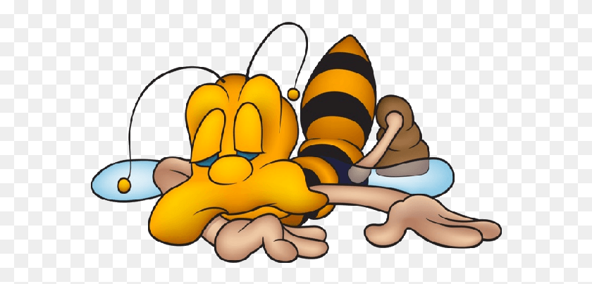 584x343 Cute Funny Bees Funny Bees, Wasp, Bee, Insect HD PNG Download