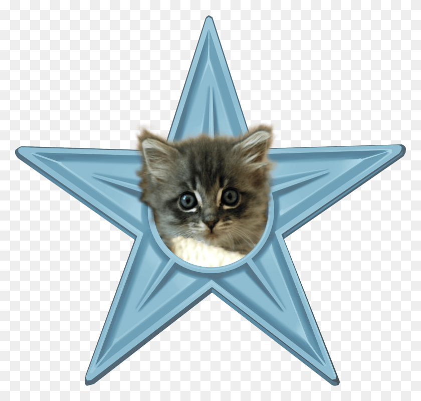 2000x1900 Cute Kitten Barnstar Kitten Star, Symbol, Star Symbol, Cat HD PNG Download