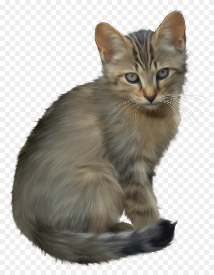 958x1253 Cute Kitten Clipart Free Kitten Picture Transparent, Cat, Pet, Mammal HD PNG Download