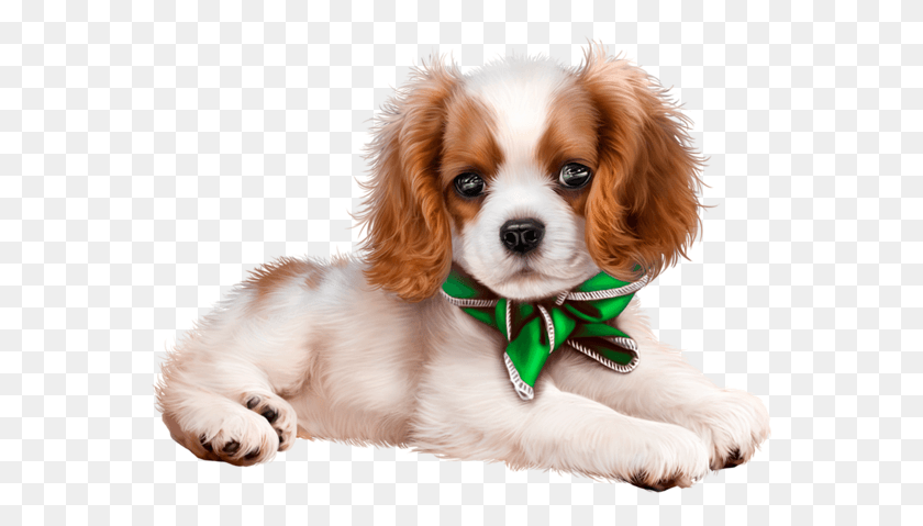 567x419 Cute Puppies Pictures Nuove Immagini Buon Lunedi, Puppy, Dog, Pet HD PNG Download