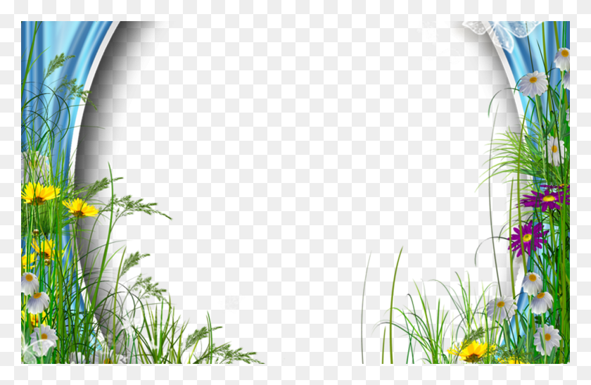 1368x855 Cute Summer Photo Frame With Flowers Border Borders And Frames Rose, Plant, Vegetation, Potted Plant HD PNG Download