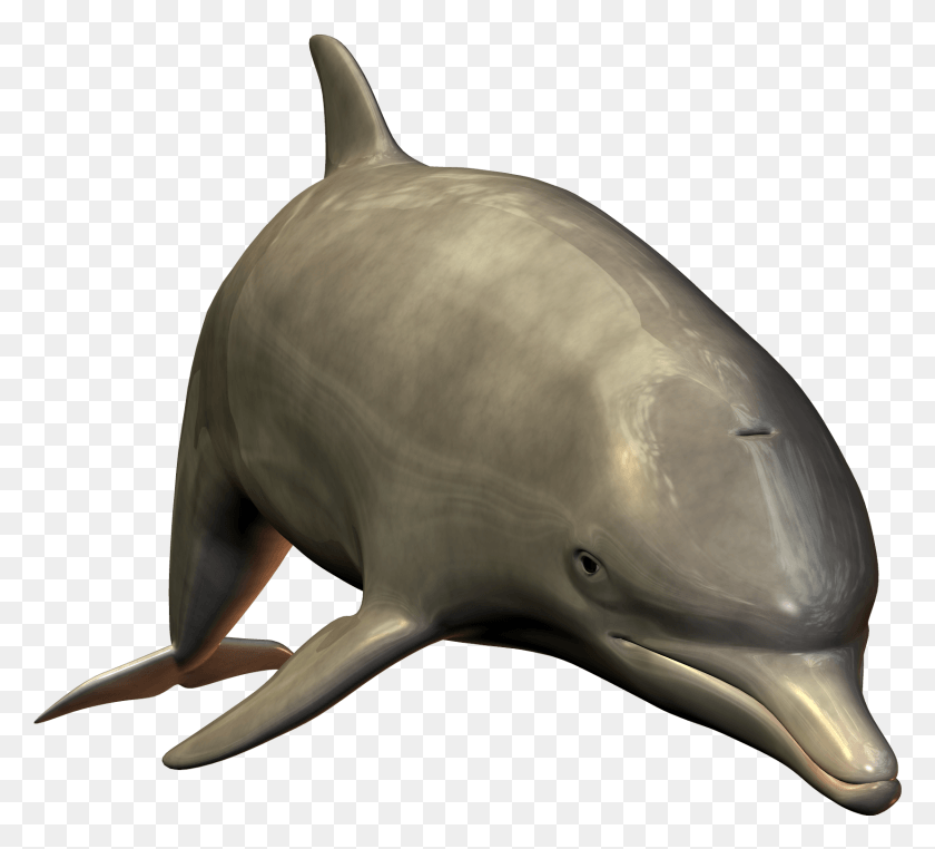 1657x1493 Cute Swimming Dolphin Dolphin, Mammal, Sea Life, Animal HD PNG Download