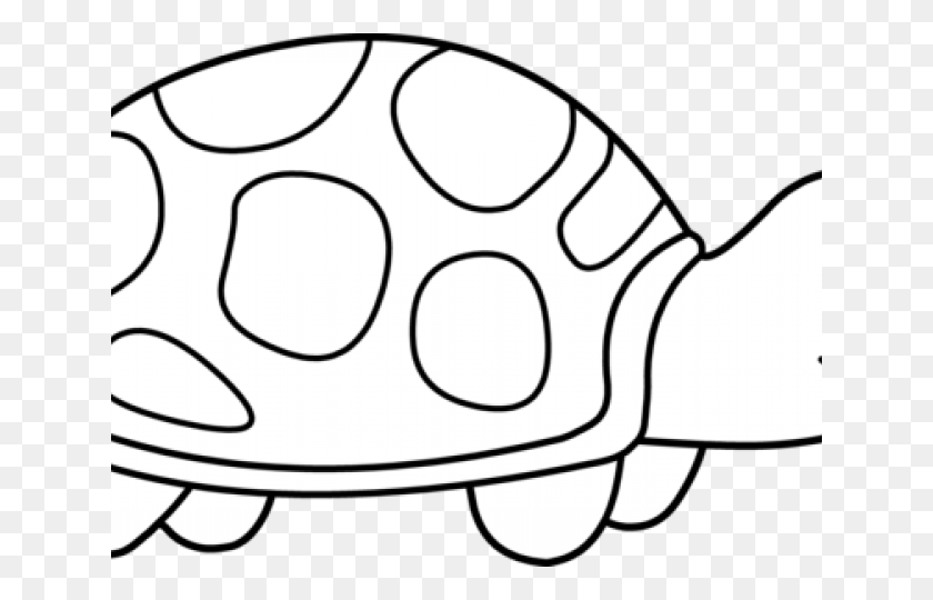 640x480 Cute Turtle Clipart Tortoise Black And White Clipart, Egg, Food, Animal HD PNG Download