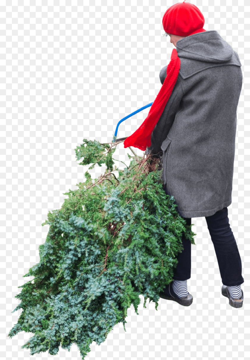 Cuts Tree People Cutting Tree, Gardening, Clothing, Coat, Person Sticker PNG