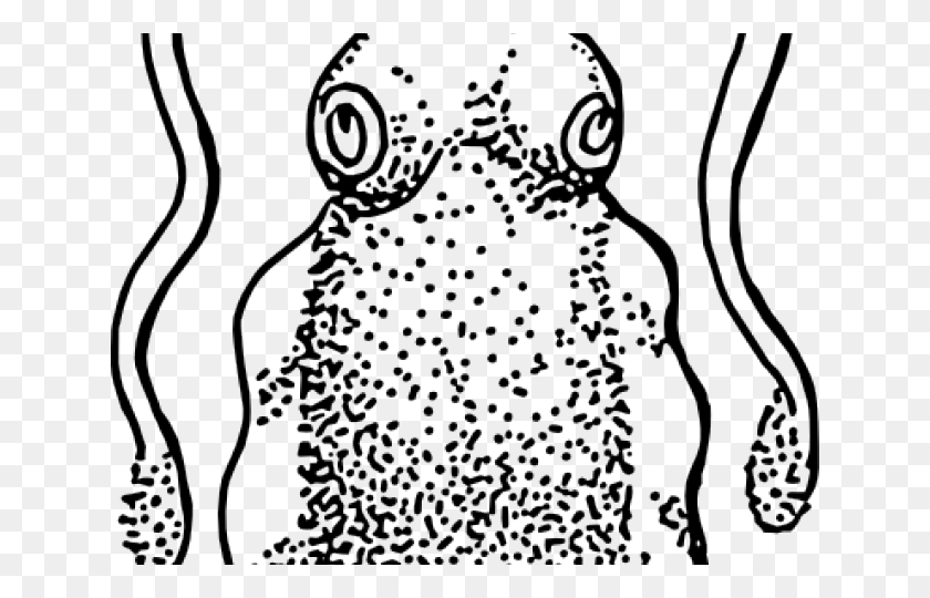 640x480 Cuttlefish Drawing, Text, Face, Jar HD PNG Download
