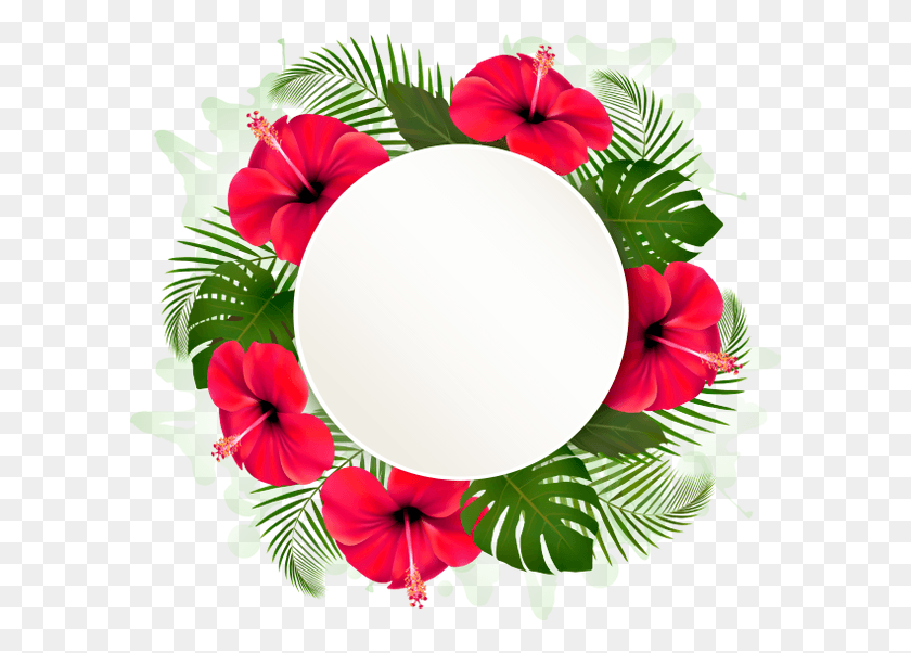 600x542 Цветочная Рамка Рамка Для Фотошопа Cveti Flower Гавайский Гибискус, Графика, Цветочный Дизайн Hd Png Скачать