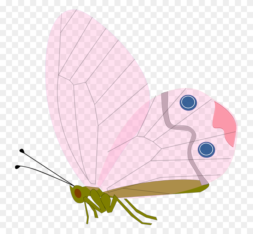 740x720 Cycle Of A Butterfly Pink, Animal, Invertebrate, Balloon HD PNG Download