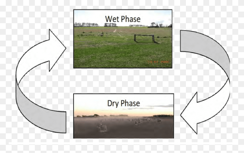 850x511 Cyclic Changes In Temporary Or Ephemeral Wetlands Wetland Dry And Wet, Text, Outdoors, Poster Descargar Hd Png