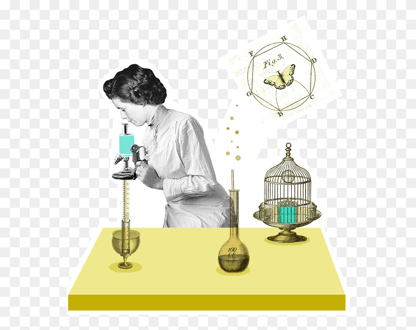 574x607 Da Internacional De La Mujer Y La En La Ciencia Da De La Mujer Cientfica, Person, Human, Lamp Hd Png