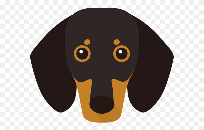593x475 Dachshund 01 Yappicon, Face, Head, Animal HD PNG Download