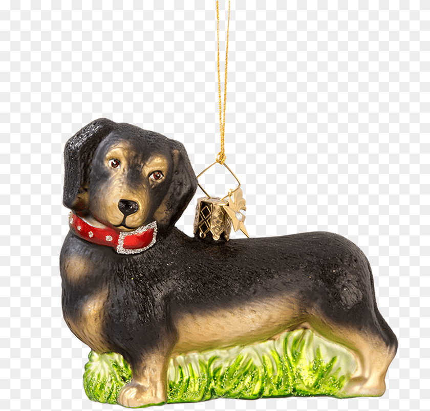 Dachshund, Accessories, Animal, Canine, Dog Sticker PNG