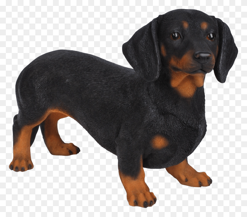 1526x1326 Dachshund Dachshund Statues, Dog, Pet, Canine HD PNG Download