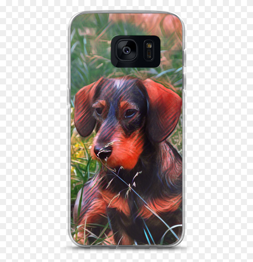 438x809 Descargar Png Dachshund Samsung Case Dachshund, Perro, Mascota, Canino Hd Png