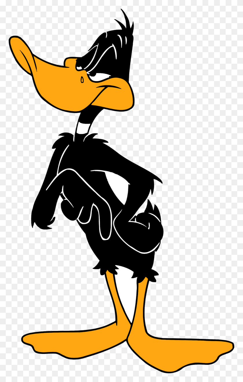991x1600 Daffy Duck Daffy Duck Looney Tunes Characters, Stencil HD PNG Download