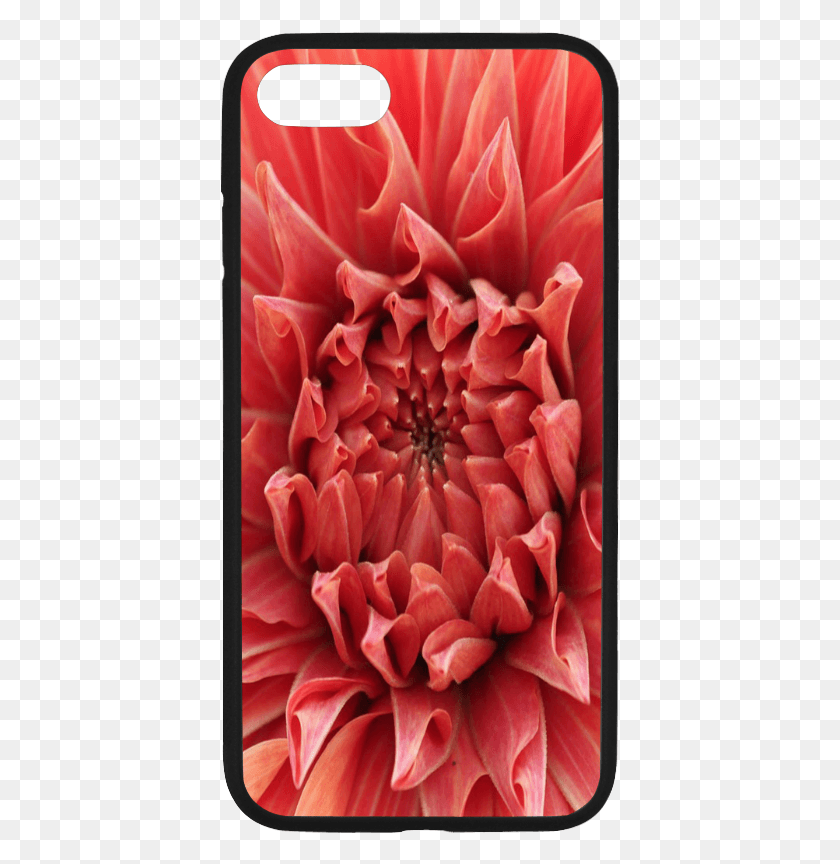 401x804 Dahlia, Flower, Plant, Blossom HD PNG Download