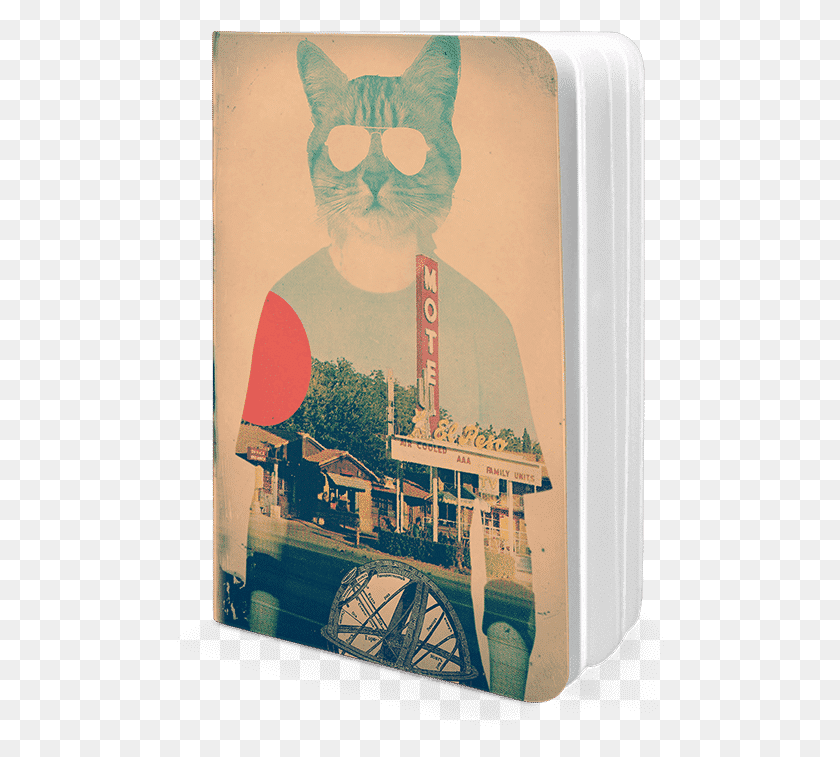 488x697 Dailyobjects Cool Cat A5 Notebook Plain Buy Online Collage, Poster, Advertisement, Flyer HD PNG Download