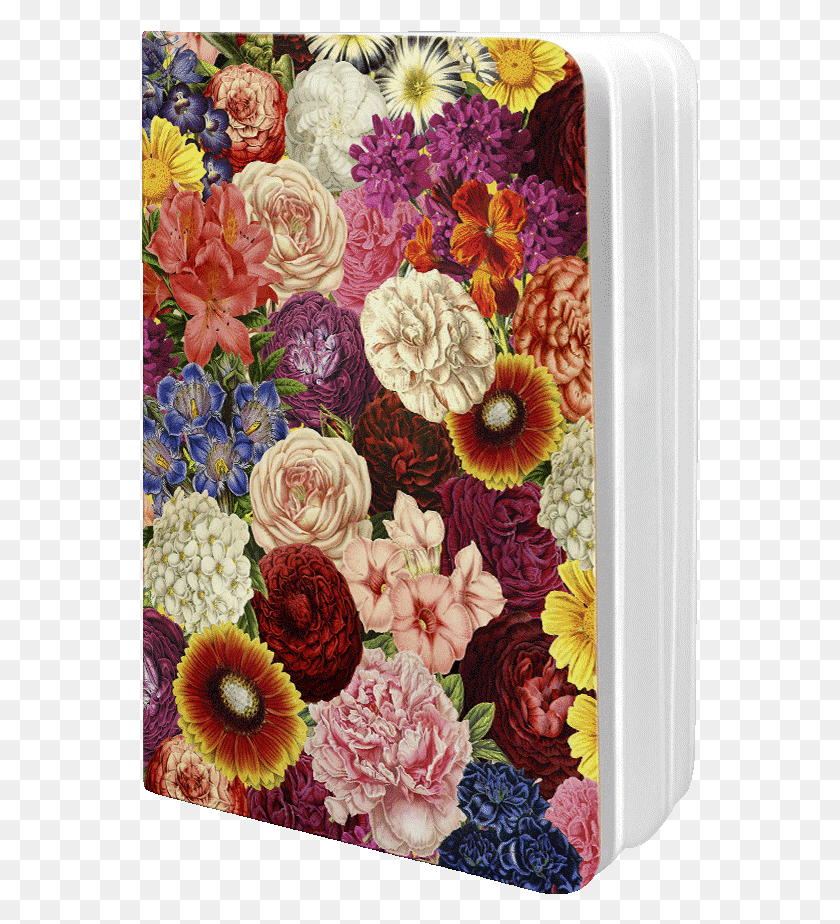 557x864 Dailyobjects Spring Explosion A6 Notebook Plain Buy Zinnia, Floral Design, Pattern, Graphics HD PNG Download