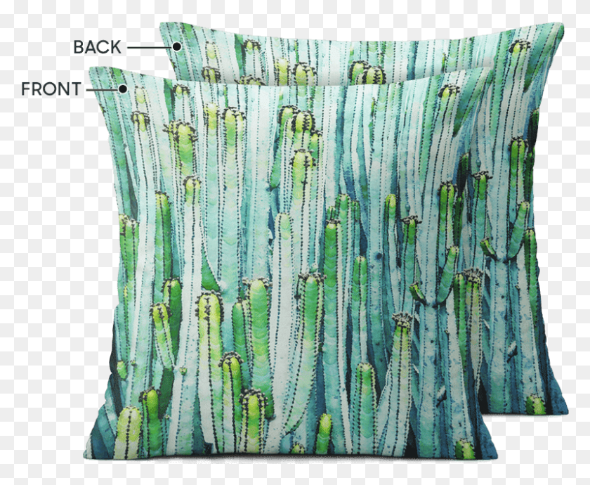 798x645 Dailyobjects Watercolor Cactus 12 Cushion Cover Buy Motif, Pillow, Rug, Quilt HD PNG Download