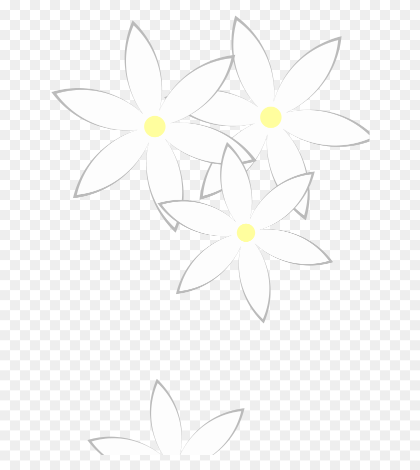 638x879 Daisies, Plant, Flower, Blossom HD PNG Download