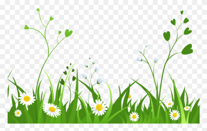 851x515 Daisies With Grasspicture Images Background Nature Clipart Transparent Background, Graphics, Floral Design HD PNG Download