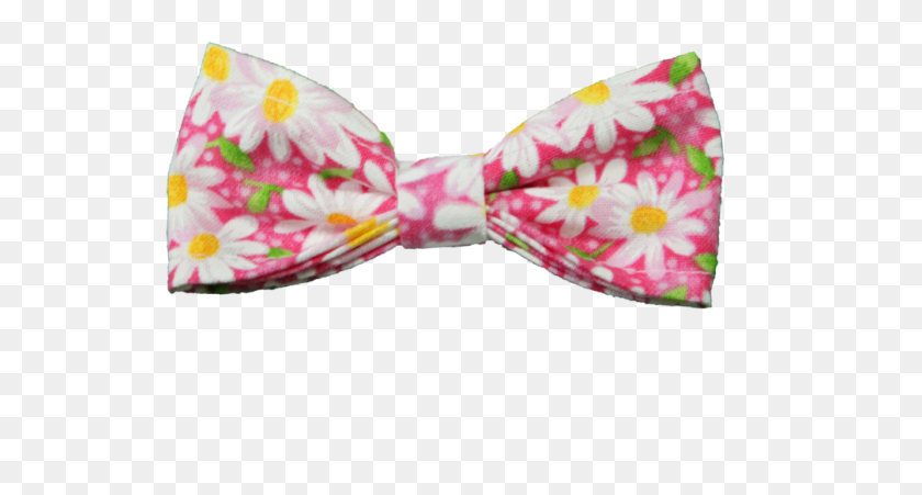 1007x506 Daisy Bow Tie Jax N Inc Large Satin, Tie, Accessories, Accessory HD PNG Download