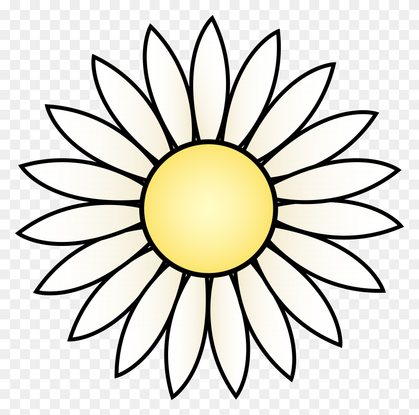4948x4901 Daisy Clip Art Outline, Pattern, Flower, Plant HD PNG Download