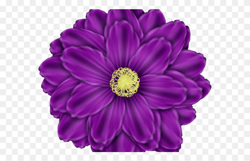 585x481 Daisy Clipart Daisy Flower Purple Clip Art Flowers, Dahlia, Plant, Blossom HD PNG Download