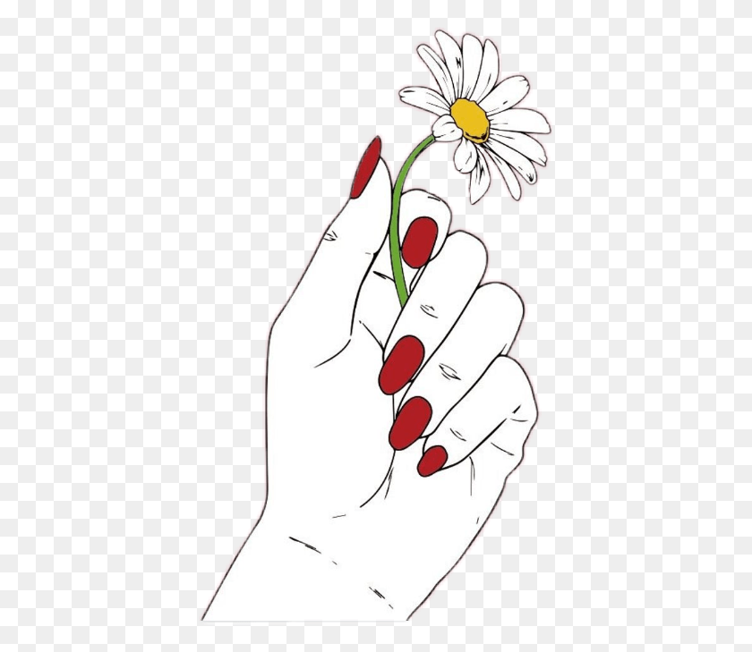 395x669 Daisy Flower Red Hand Nails White Draw Tumblr Oxeye Daisy, Plant, Blossom, Petal HD PNG Download