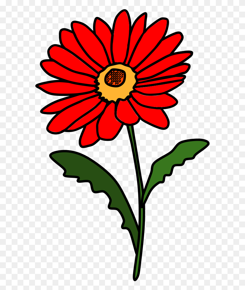 599x935 Лепестки Ромашки Красный Синий, Растение, Цветок, Цветение Hd Png Скачать
