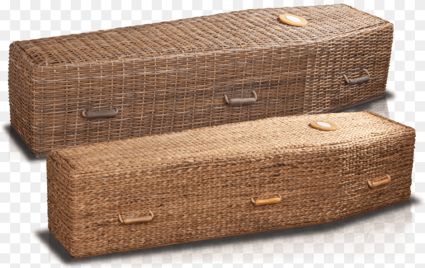 Daisy Trunk, Baggage PNG