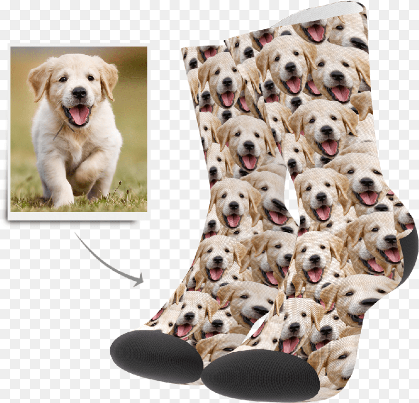Dalmatian, Animal, Canine, Dog, Mammal Clipart PNG