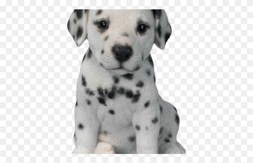 395x481 Dalmatian Clipart Puppy Chow Dalmatian Puppy, Dog, Pet, Canine HD PNG Download