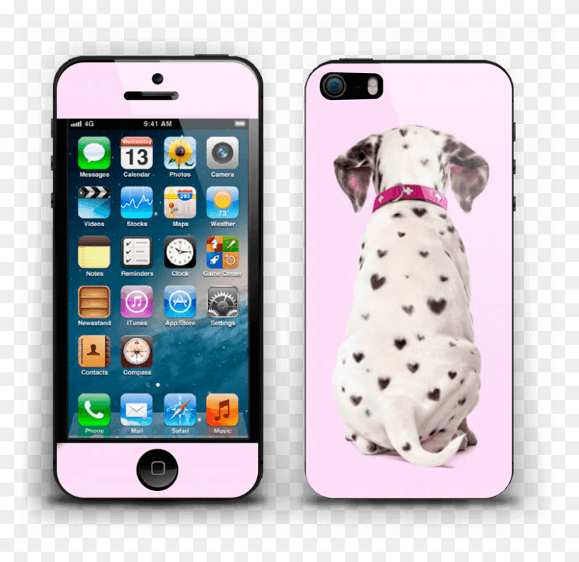 800x775 Dalmatian Love Skin Iphone 5S Iphone, Мобильный Телефон, Телефон, Электроника Png Скачать