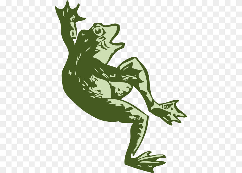 457x600 Dancing Frog Clip Arts For Web, Amphibian, Animal, Wildlife, Person PNG