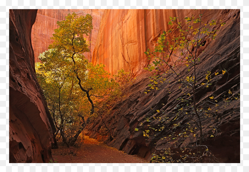 1025x684 Dancing In The Canyon Ii Maple, Nature, Outdoors, Mountain HD PNG Download