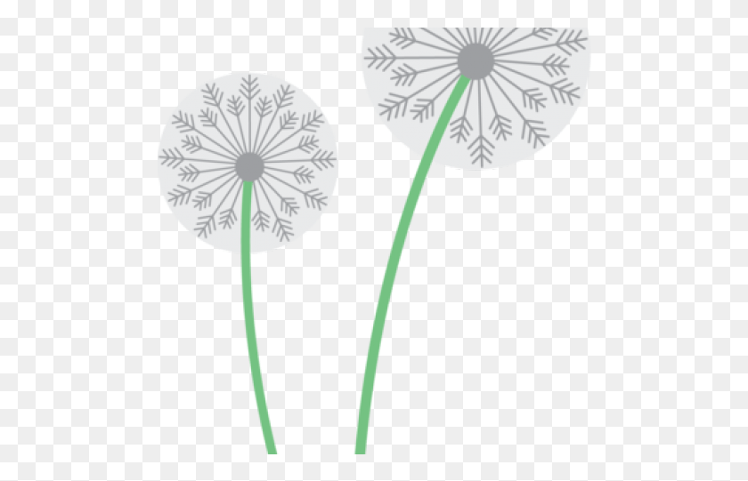 488x481 Dandelion Clipart Dandylion Circle, Plant, Flower, Blossom HD PNG Download