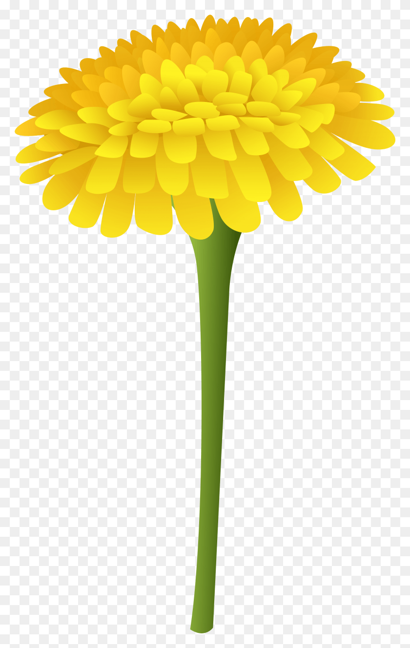 4866x7913 Dandelion Clipart Wildflower Dandelion Clip Art Yellow, Plant, Flower, Blossom HD PNG Download