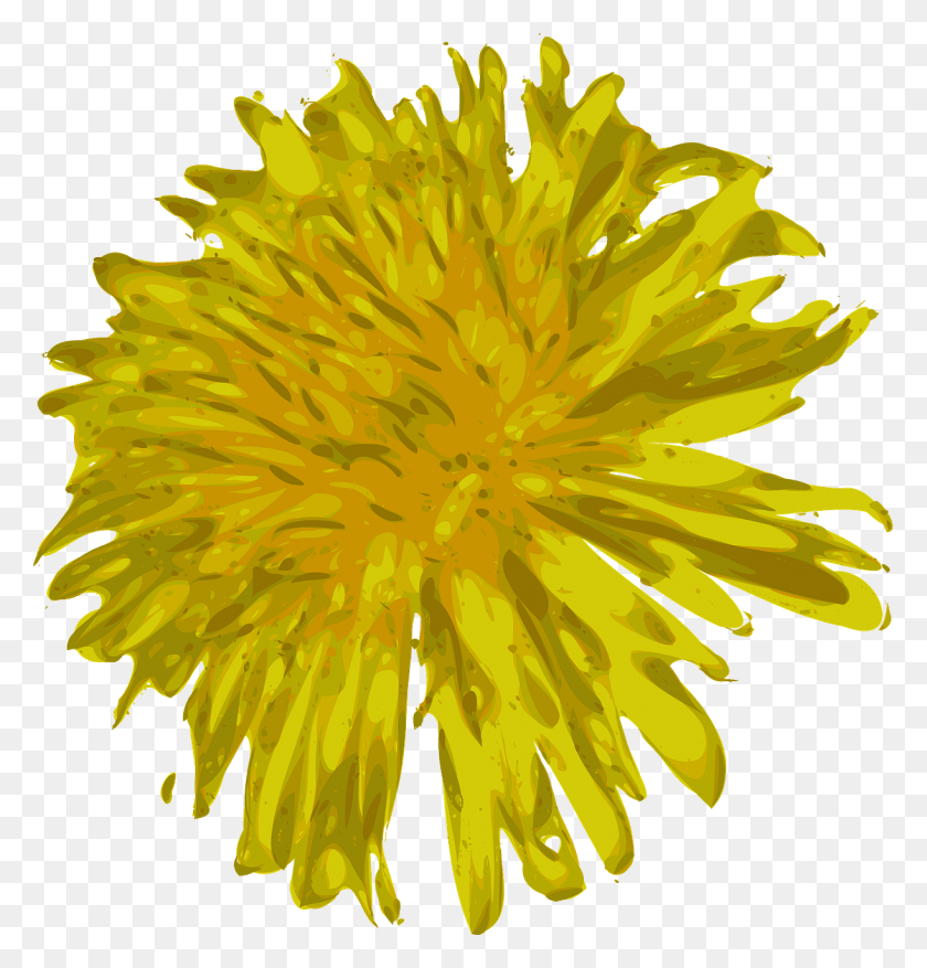 1221x1280 Цветок Одуванчика Красивое Дикое Изображение Lwenzahn, Растение, Цветение Hd Png Скачать