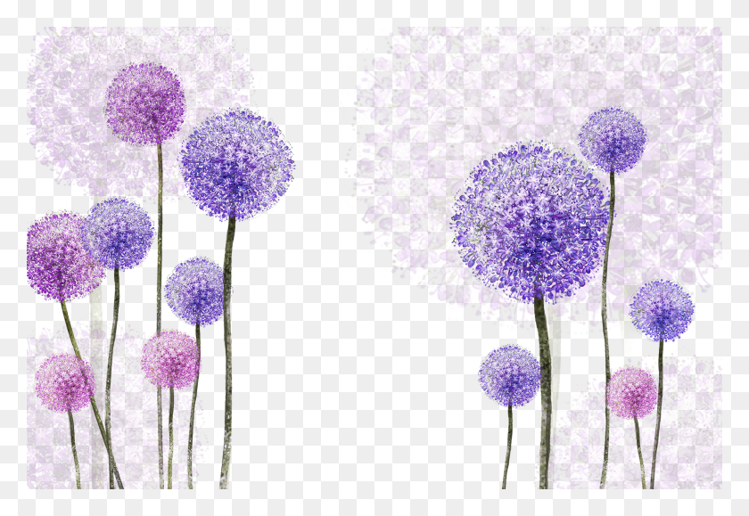 2000x1333 Diente De León Transparente Púrpura Flores De Diente De León Púrpura Transparente Hd Png Descargar