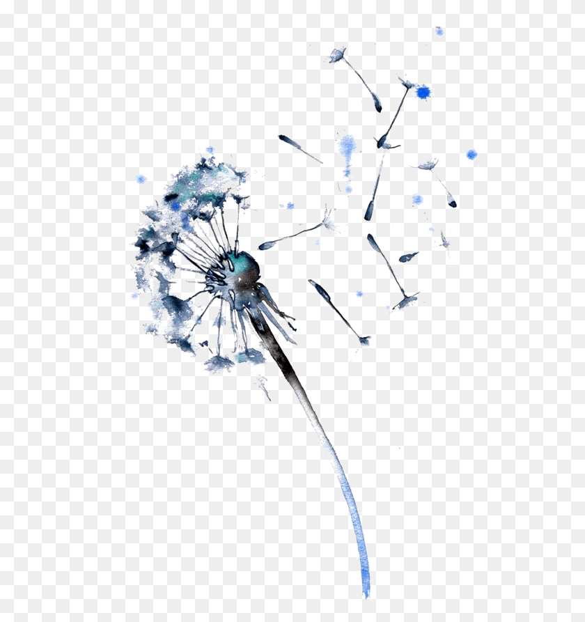537x833 Dandelion Transparent Watercolor Watercolour Dandelion Tattoo, Snowflake, Cross, Symbol HD PNG Download