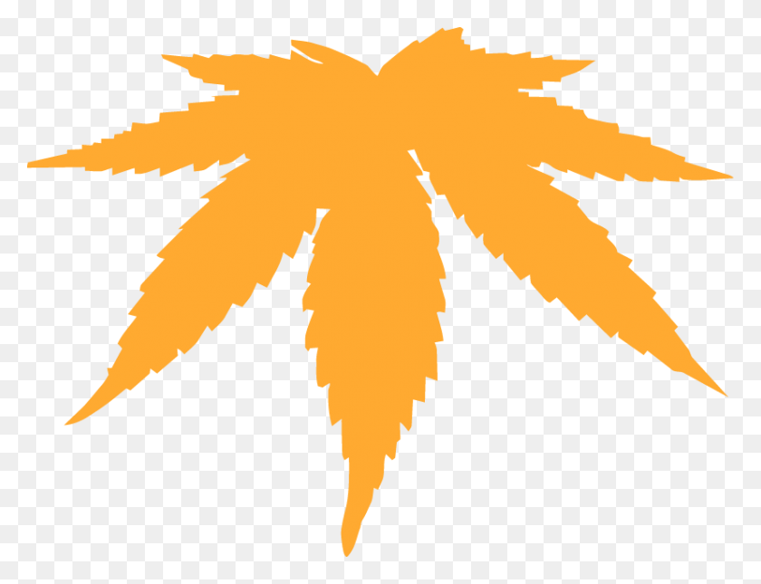 828x622 Dank Weed Leaf Cannabis Marijuana Leaves Vector Free, Plant, Maple Leaf, Tree HD PNG Download