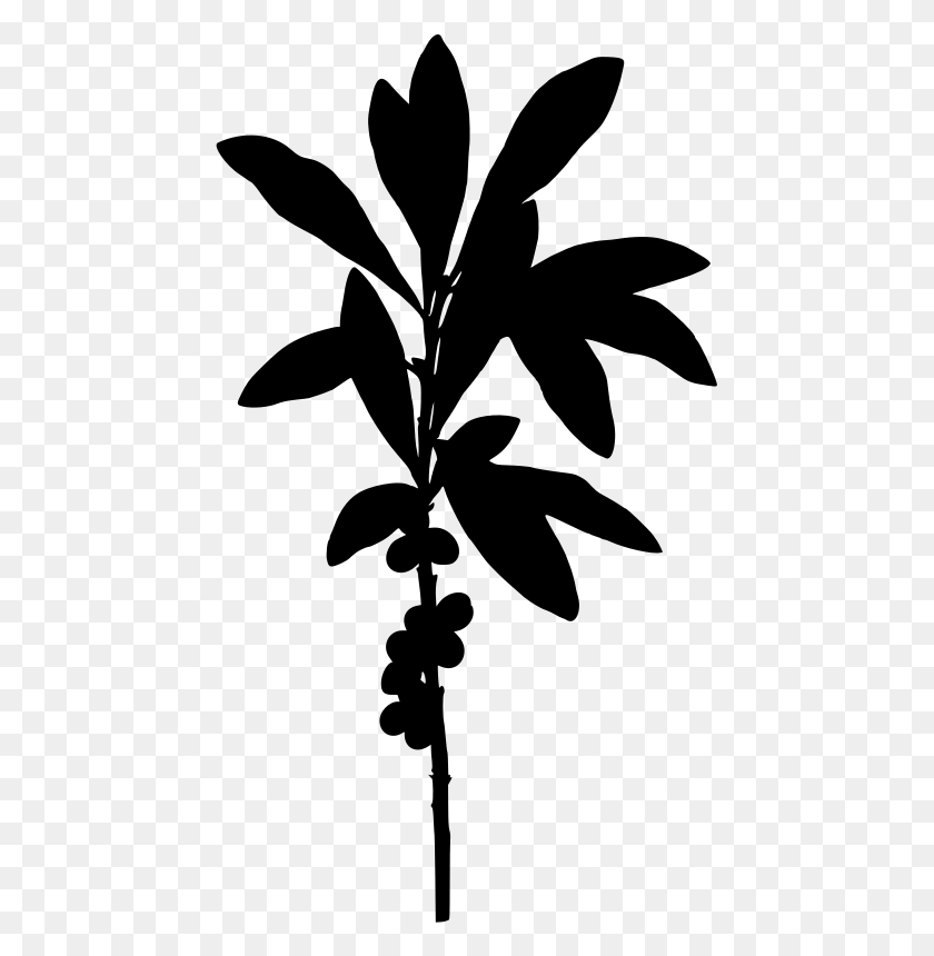 451x800 Daphne Plant, Gray, World Of Warcraft HD PNG Download