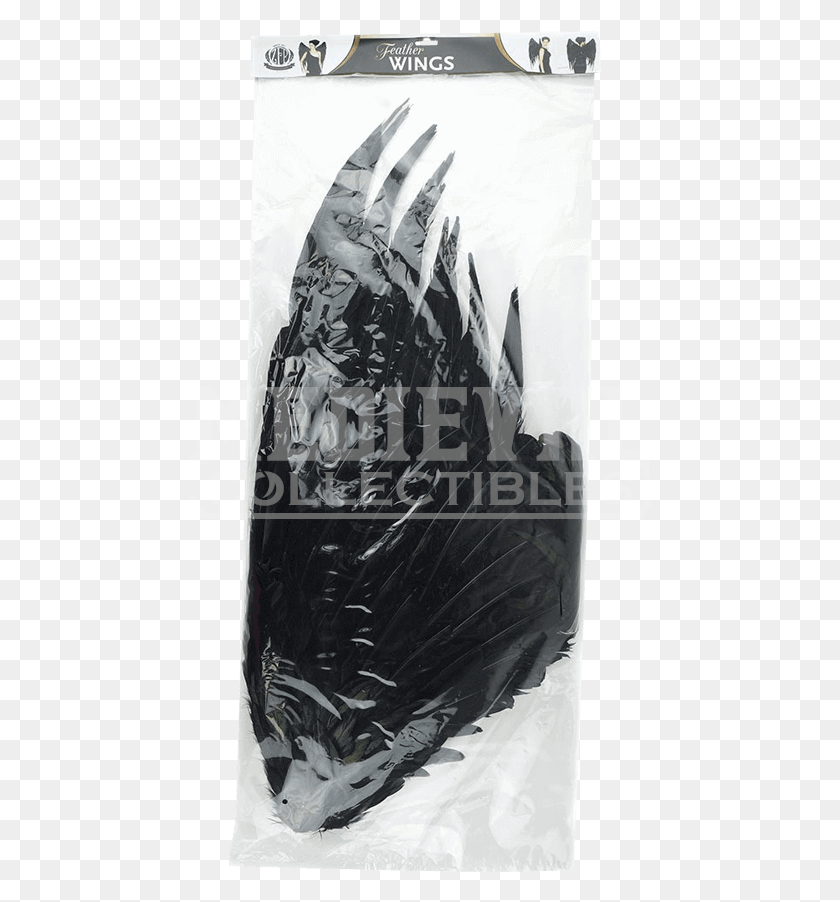 462x842 Dark Angel Feather Wings Illustration, Poster, Advertisement, Text HD PNG Download