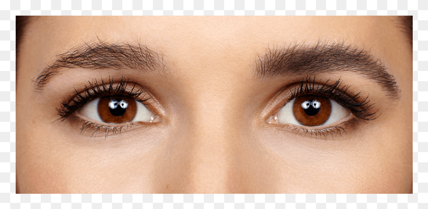 1001x453 Dark Brown Eyebrow Gel Loreal X Fiber Mascara, Skin, Contact Lens, Person HD PNG Download