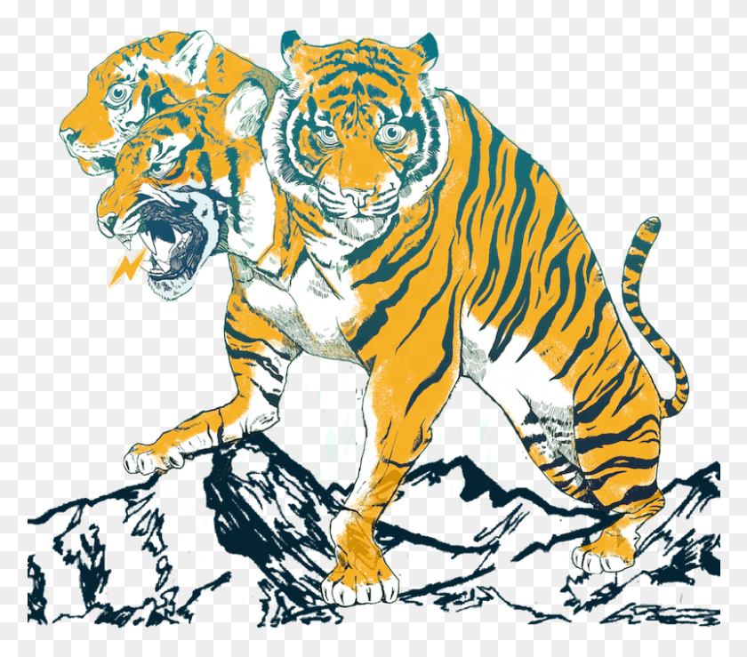 801x698 Dark Mark Out Now Omega Massif T Shirt, Tiger, Wildlife, Mammal HD PNG Download