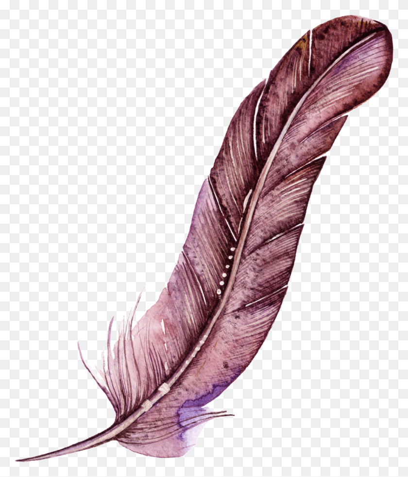 1024x1210 Dark Red Feather Cartoon Watercolor Beautiful Transparent Feather, Bottle, Graphics HD PNG Download