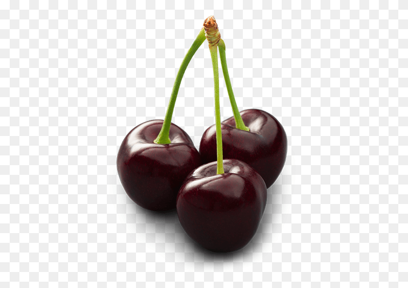 391x533 Dark Sweet Cherry Dark Sweet Cherries, Plant, Apple, Fruit Descargar Hd Png